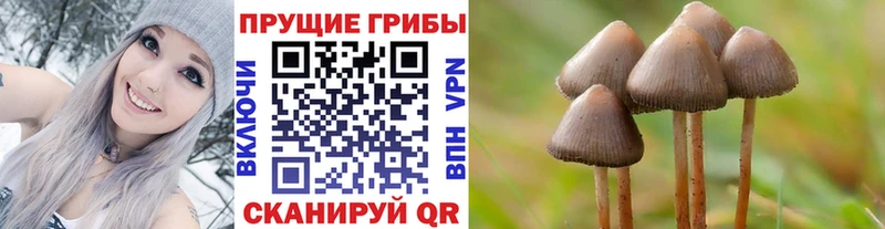 даркнет сайт  Бабаево  Галлюциногенные грибы GOLDEN TEACHER 