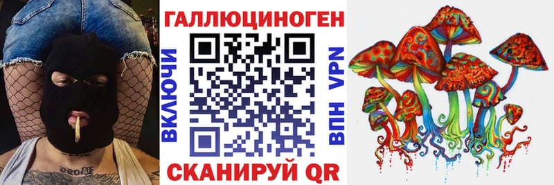 Псилоцибиновые грибы GOLDEN TEACHER Бабаево